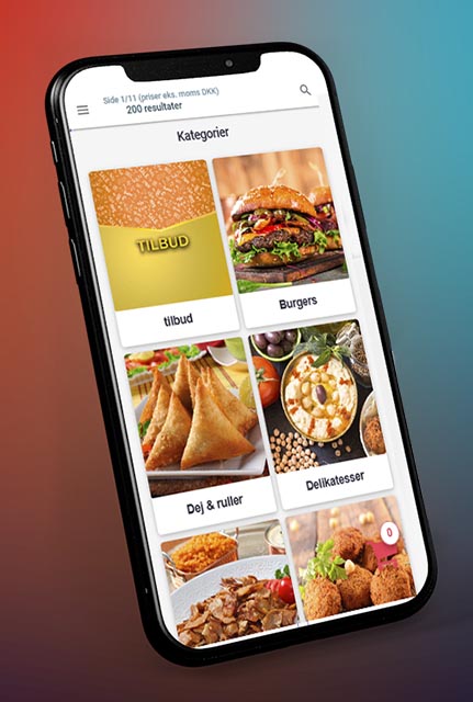 Alber Food ApS – case study